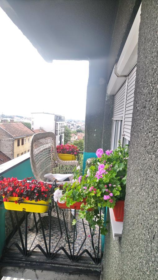 Garden Apartment Belgrade Luaran gambar